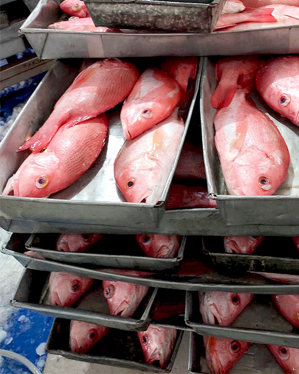 Pandawa Seafoods